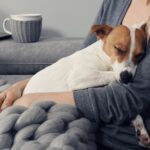 dlaczego-pies-chodzi-za-mna-krok-w-krok