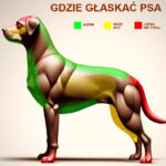 gdzie-pies-lubi-byc-glaskany