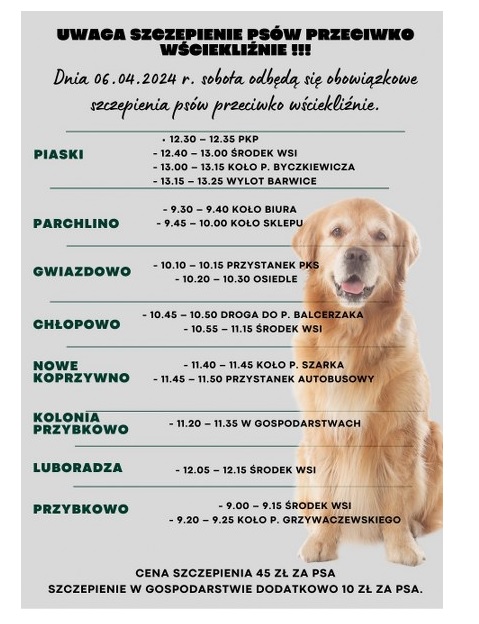 UWAGA SZCZEPIENIE PSÓW PRZECIWKO WŚCIEKLIŹNIE!!! | Barwice
