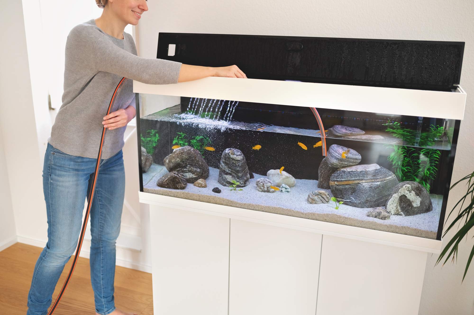 Podmiana wody w akwarium: Jak często to robić, ile wymieniać, po ...
