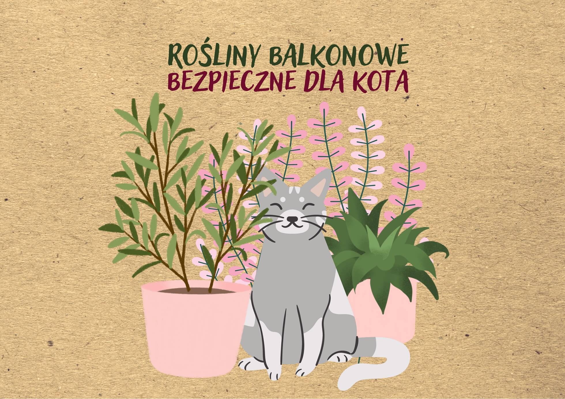 Rośliny balkonowe bezpieczne dla kotów | Sklep zoologiczny Psokoty.pl