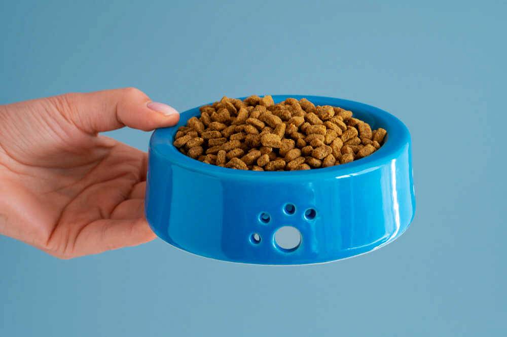 Czy sucha karma jest zdrowa dla kotów? Fakty i mity