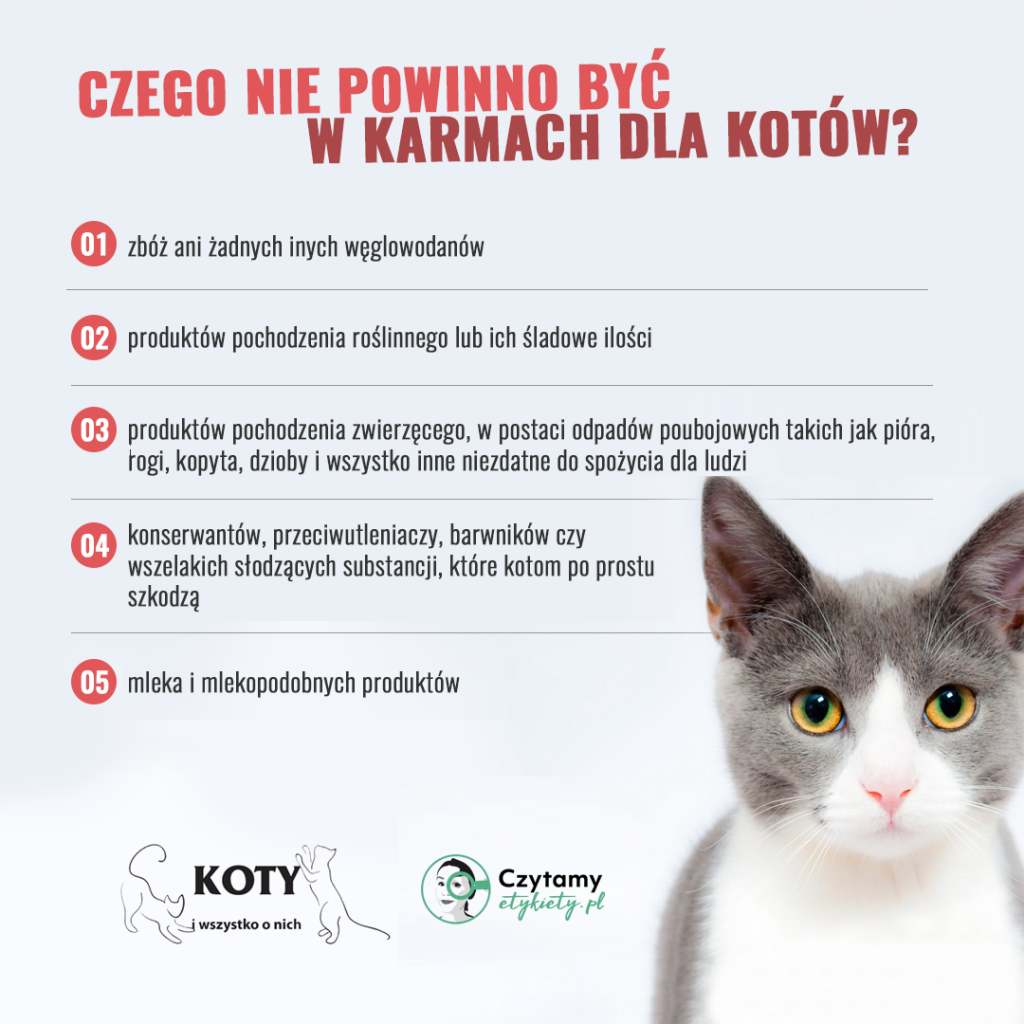 Jak wybrać karmę dla kota? - Czytamy Etykiety - Analiza etykiet ...