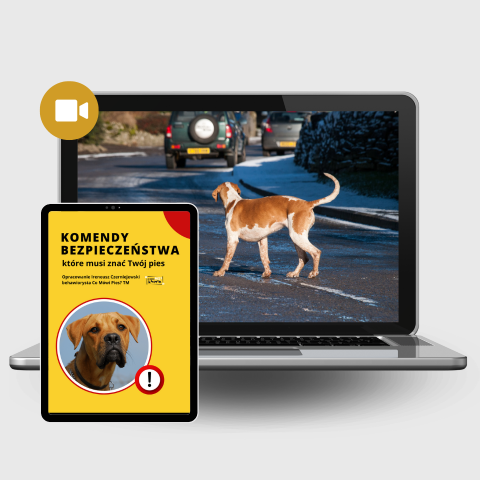 KOMENDY BEZPIECZEŃSTWA, KTÓRE MUSI ZNAĆ PIES. Nagranie szkolenia + ebook