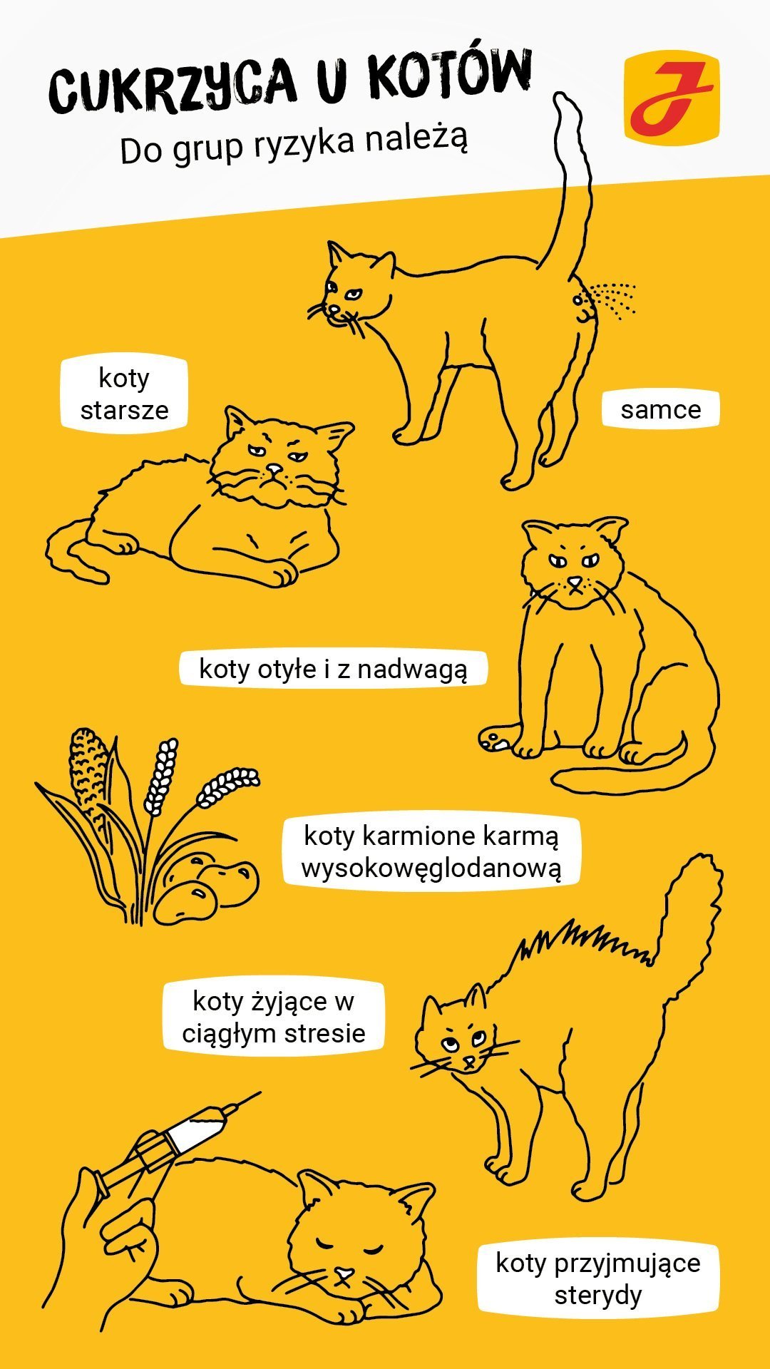 Cukrzyca u Kota ➤ JOSERA