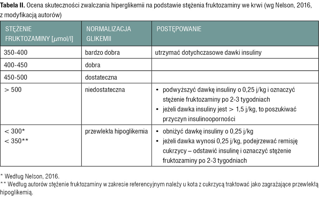 magwet.pl