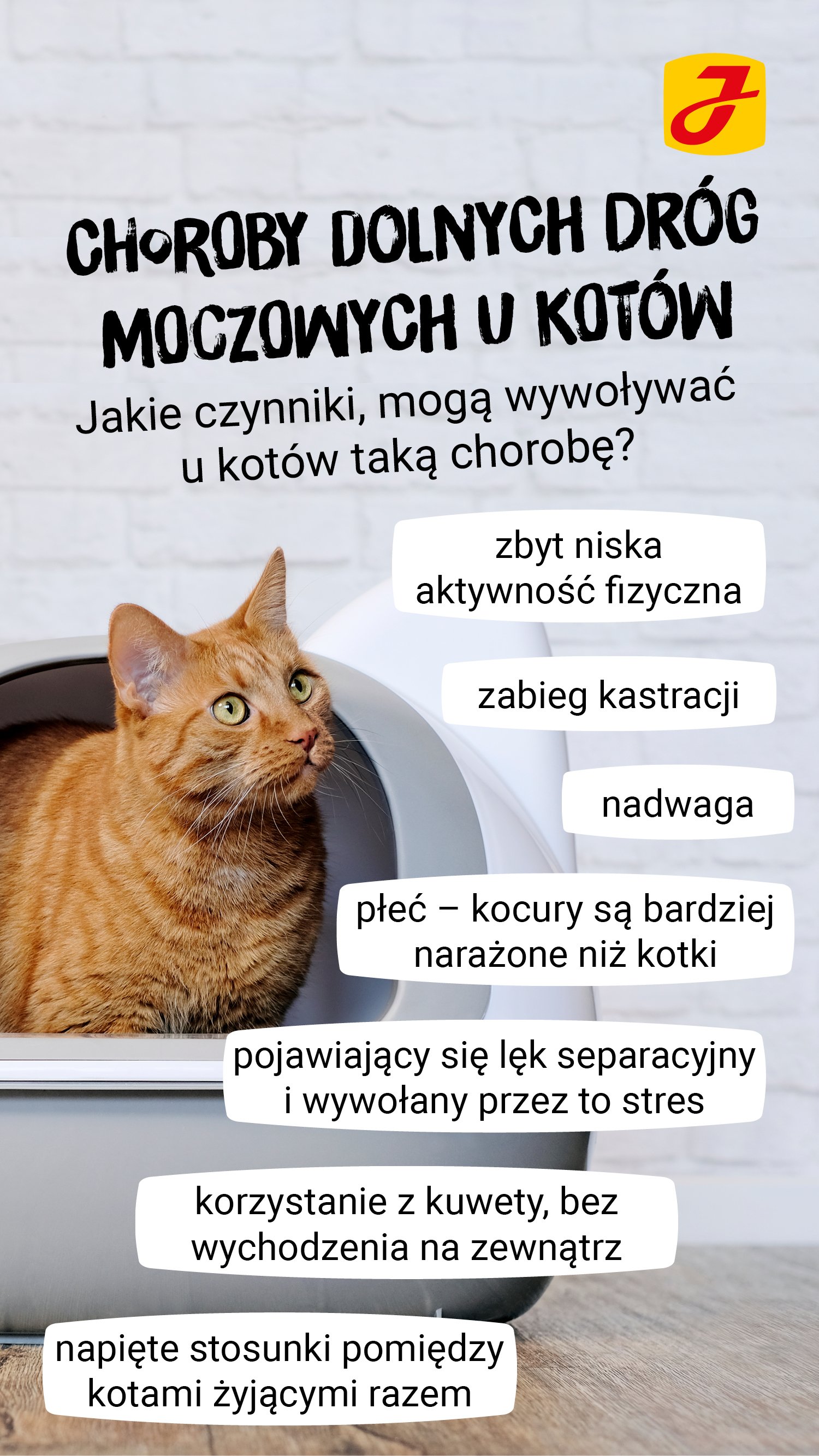 Choroba Dolnych Dróg Moczowych u Kota ➤ JOSERA