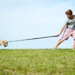 Hund an Leine will nicht mit
